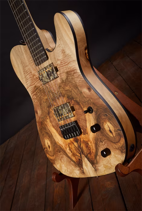 Poul Guitars 2019 Tele - Guitare électrique