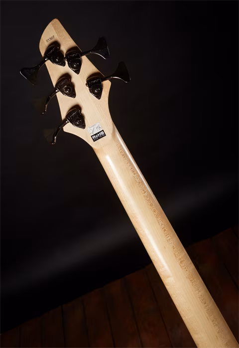 Dingwall Combustion 5 Adam Nolly Getgood NG2 Signature - Basse électrique
