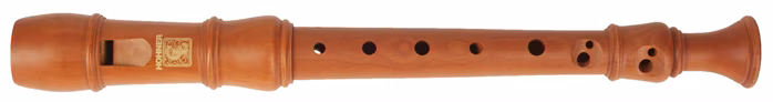 Hohner B95643 - Flute a bec sopranino