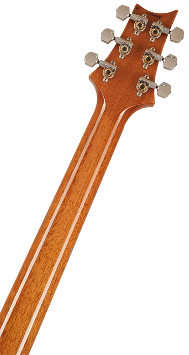 PRS Custom 24 Piezo CB - Guitare électrique