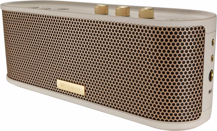 Roland BTM-1 - Haut-parleur portable sans fil