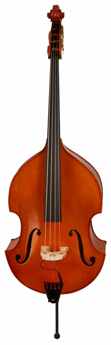 David Gage Czech Ease 5/5 C 3/4 - Contrebasse acoustique