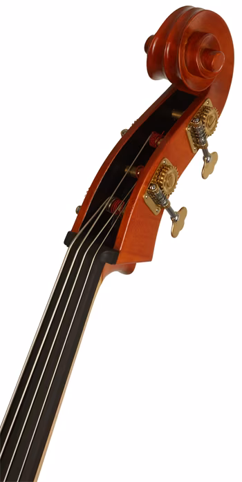 David Gage Czech Ease 5/5 C 3/4 - Contrebasse acoustique