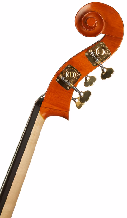 David Gage Czech Ease 5/5 C 3/4 - Contrebasse acoustique