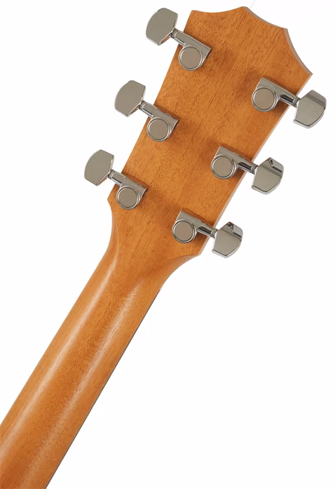 Taylor 214ce - Guitare électroacoustique
