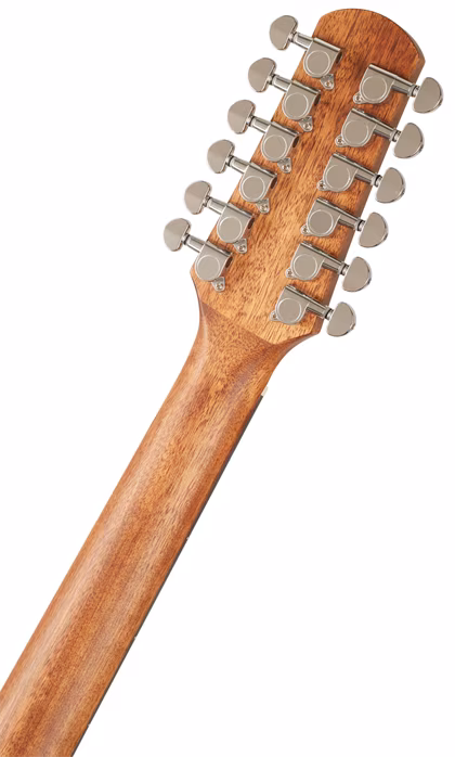 Walden WAD552E - Guitare électroacoustique a douze cordes