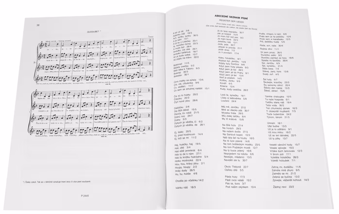 Ladislav Daniel Flauto Dolce - škola hry na sopránovou zobcovou  flétnu 1. díl - École de flute a bec