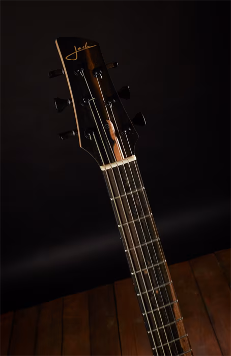 Jech Guitars 2020 Old Man Ebony Top - Guitare électrique