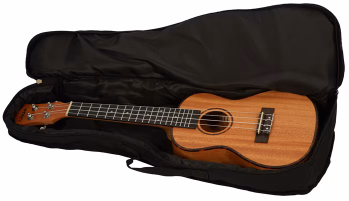 Cascha HH 2035 Concert Mahogany Ukulele Set - Ukulélé acoustique
