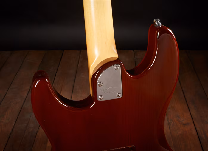 Godin 2013 Passion RG3 Trans Red Flame - Guitare électrique