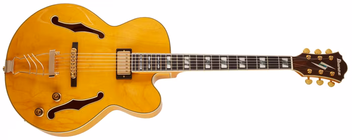 Ibanez PM 2 AA - Guitare semi acoustique