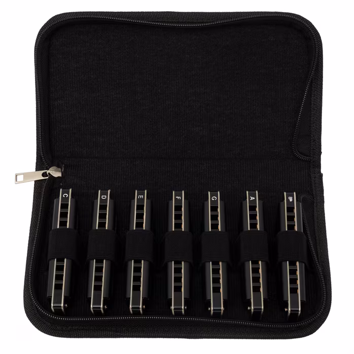 Cascha Master Edition Blues Set - Ensemble d’harmoniques