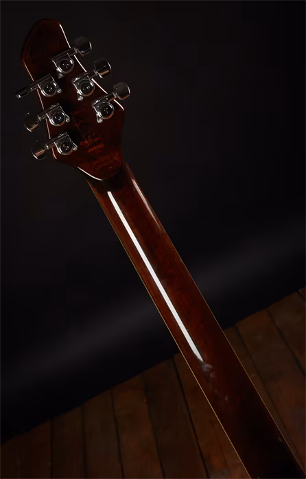 Mayones 2017 Legend V22 - Guitare électrique