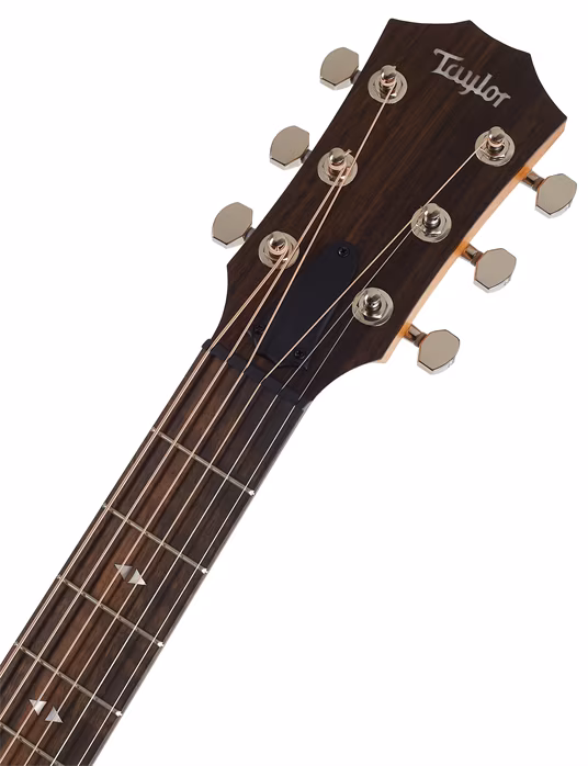 Taylor GTe Urban Ash - Guitare électroacoustique