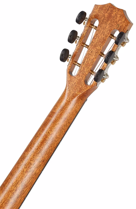 Taylor 812e 12-Fret - Guitare électroacoustique