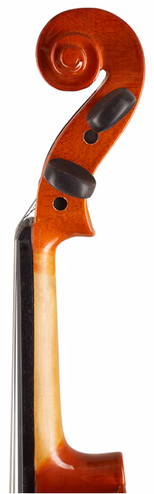 Stentor Student 4/4 - Violon acoustique