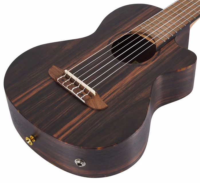 Ortega RGL5EB-CE - Ukulélé électroacoustique de guitare