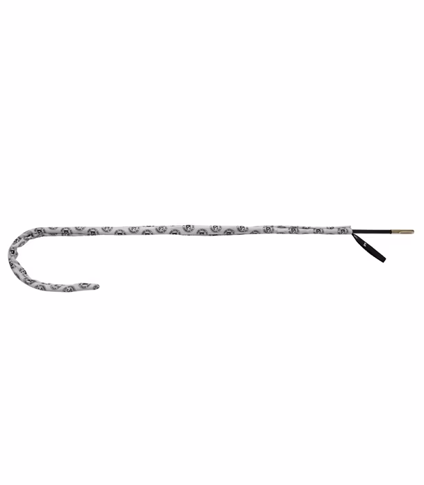 BG France A31TB2 - Écouvillon pour trombone