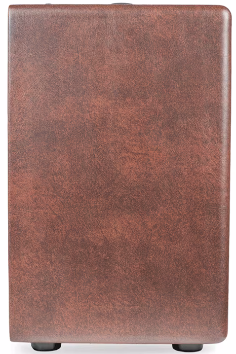 Kustom SIENNA 30 PRO - Combo pour instruments acoustiques