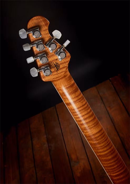 Music Man 2018 BFR Steve Morse HH - Guitare électrique