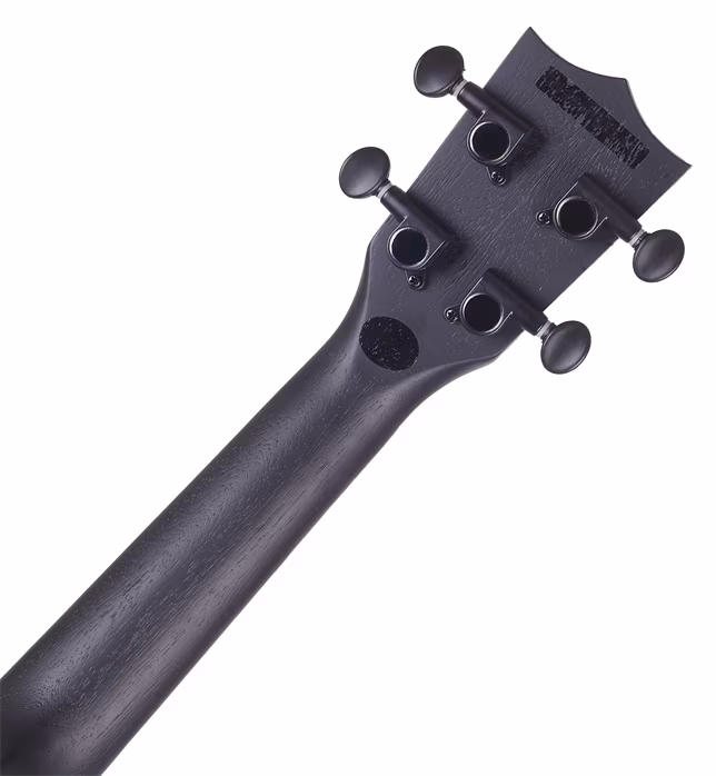 Flight NUS 310 Blackbird Natural - Ukulélé acoustique