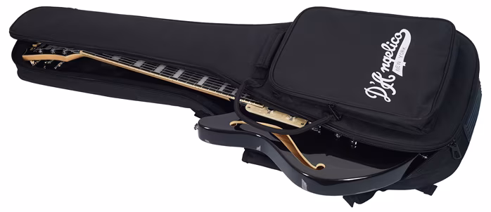 D'Angelico Offset Semi-Hollow Black Flake - Guitare semi acoustique