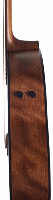 Ibanez AE295L-LGS - Guitare électroacoustique gaucher