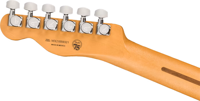 Fender Player Plus Nashville Telecaster MN BTB - Guitare électrique