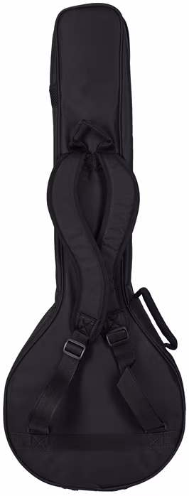 Ortega OBJE400TGR - Banjo électroacoustique