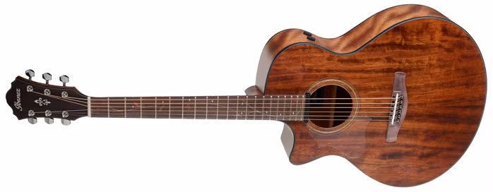 Ibanez AE295L-LGS - Guitare électroacoustique gaucher