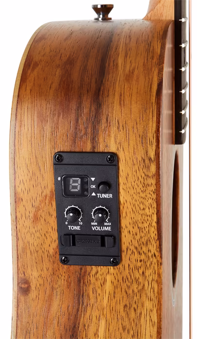 Taylor BTe-Koa - Guitare électroacoustique