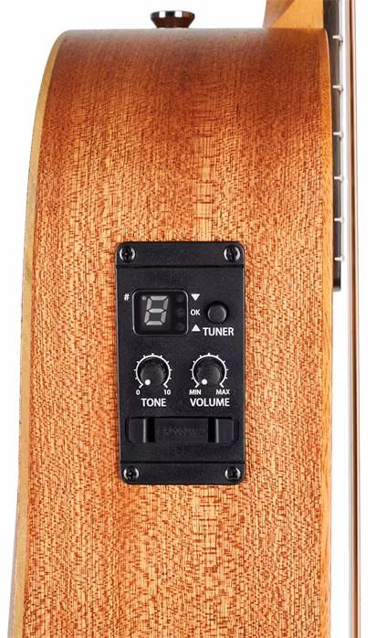 Taylor BT2e - Guitare électroacoustique