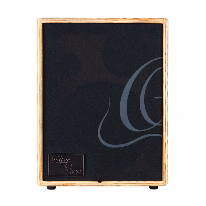Ortega CONE-ASH - Combo pour instruments acoustiques