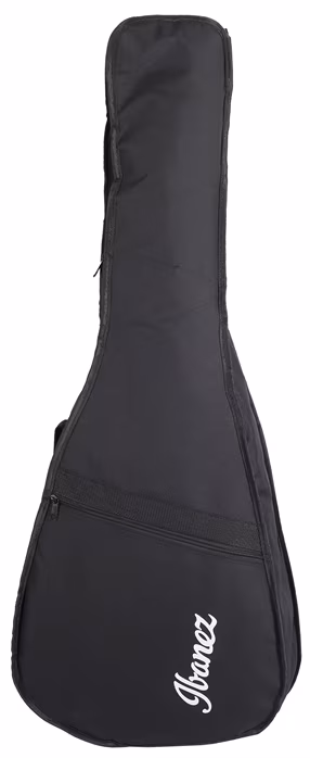 Ibanez AW54JR Natural - Guitare acoustique