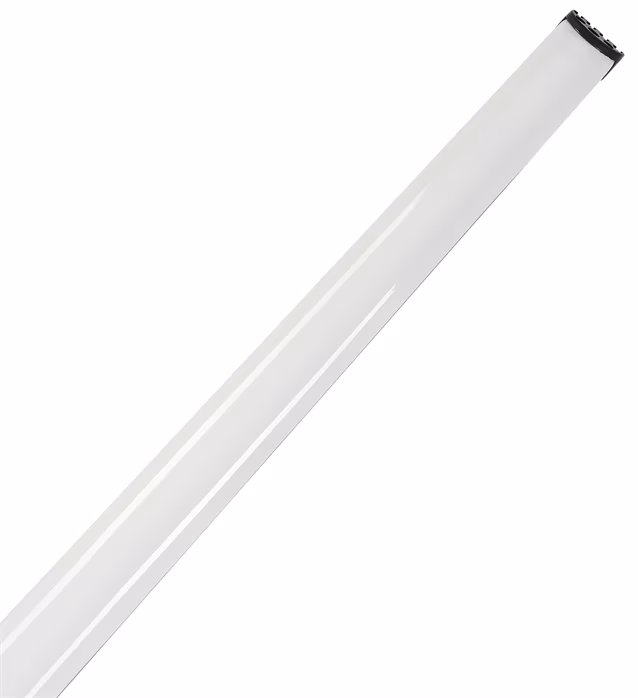 Steinberger Spirit XT-2 Standard WH - Basse électrique