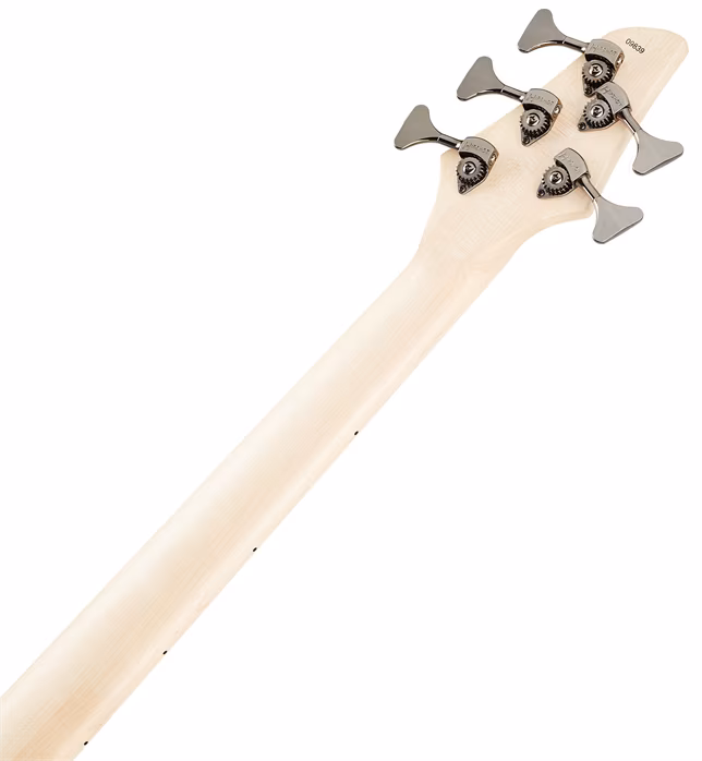 Dingwall Combustion 5 MN Indigo Burst - Basse électrique