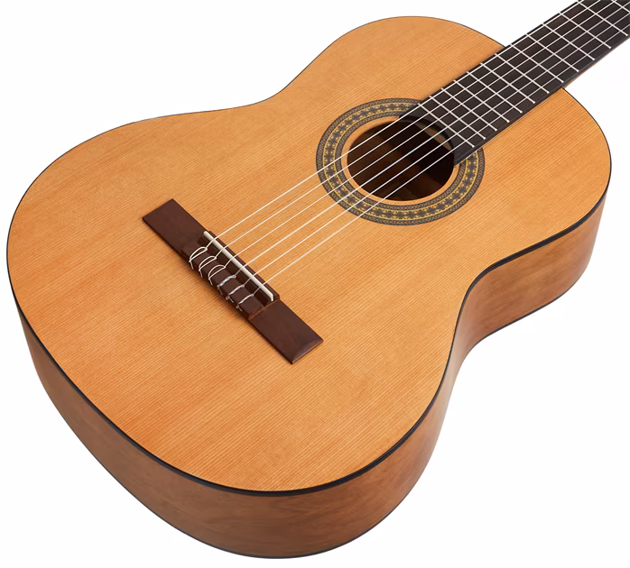 Ortega RSTC5M - Guitare classique