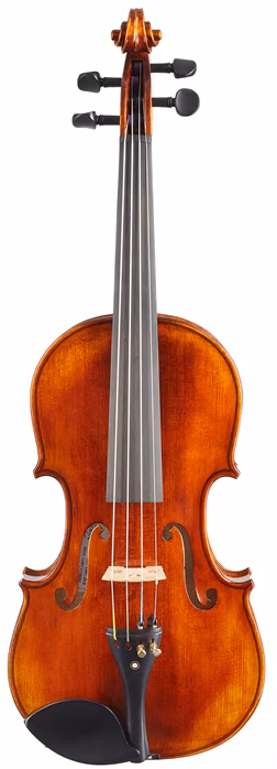 Violin Schönbach Golden/Brown - Violon acoustique