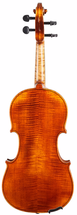 Violin Schönbach Golden/Brown - Violon acoustique