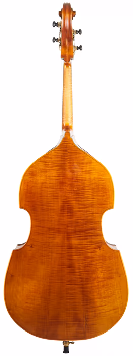 Strunal Schönbach Torino 5/7 Antique Bass 3/4 - Contrebasse acoustique