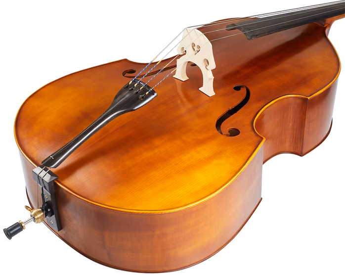Strunal Schönbach Torino 5/7 Antique Bass 3/4 - Contrebasse acoustique
