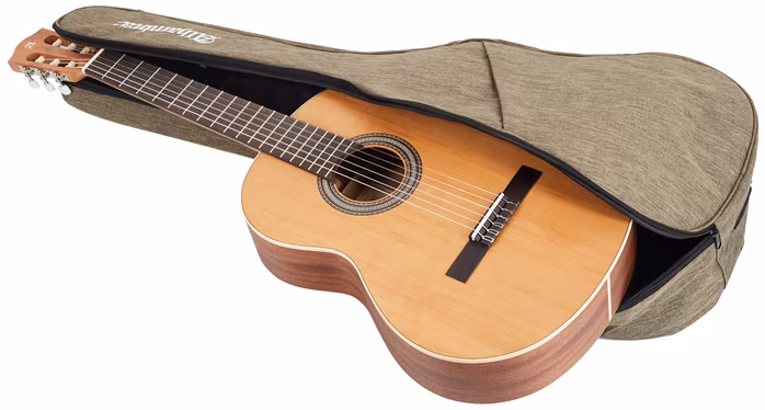 Alhambra Z-Nature - Guitare classique