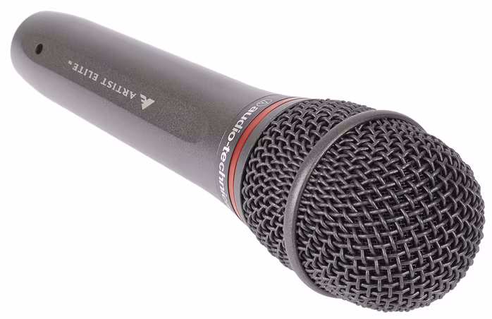 Audio-Technica AE6100 - Microphone dynamique