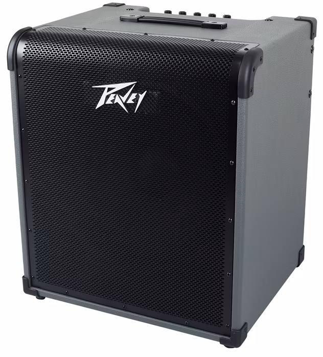 Peavey Max 250 - Combo basse a transistor