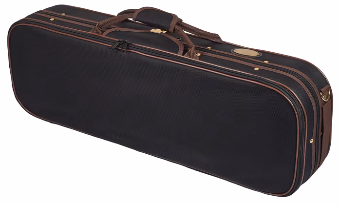 Stentor Violin 4/4 Verona Set SR1864 - Violon acoustique