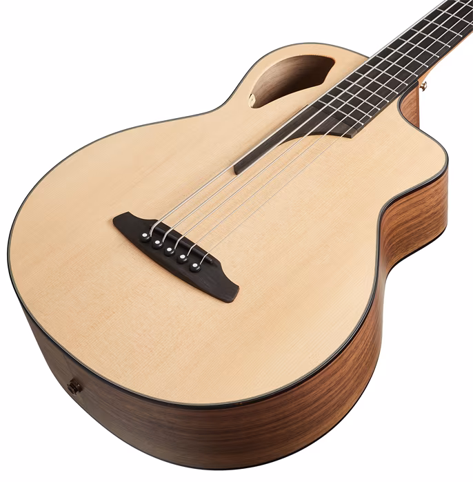 Furch Bc 62-SW 5 - Basse électroacoustique