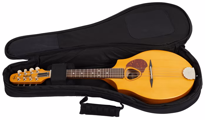 Seagull S8 Mandolin Natural - Mandoline acoustique