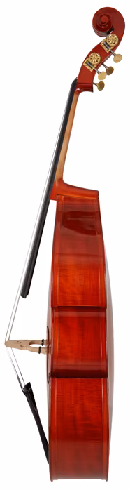 Gewa Pure ST 3/4 - Contrebasse acoustique