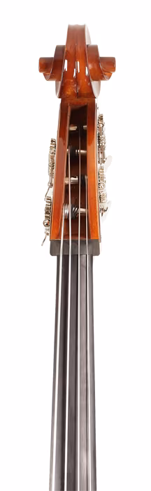 Hora B200 (utilisé) - Contrebasse acoustique