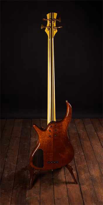 AV Basses Modern 4 Cocobollo - Basse électrique